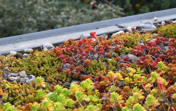 the cost of The Wrangle green roof installation