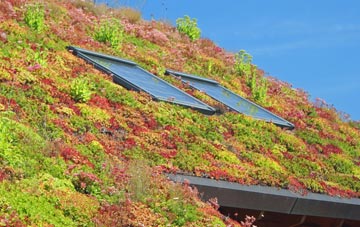 The Wrangle living roof systems