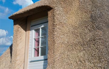 The Wrangle thatch roof disadvantages